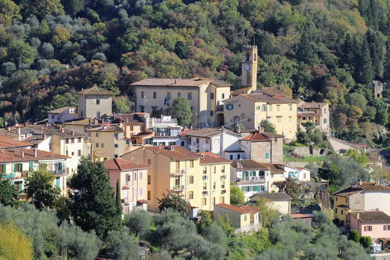 Pelago: Ghiberti, i castelli e il vino